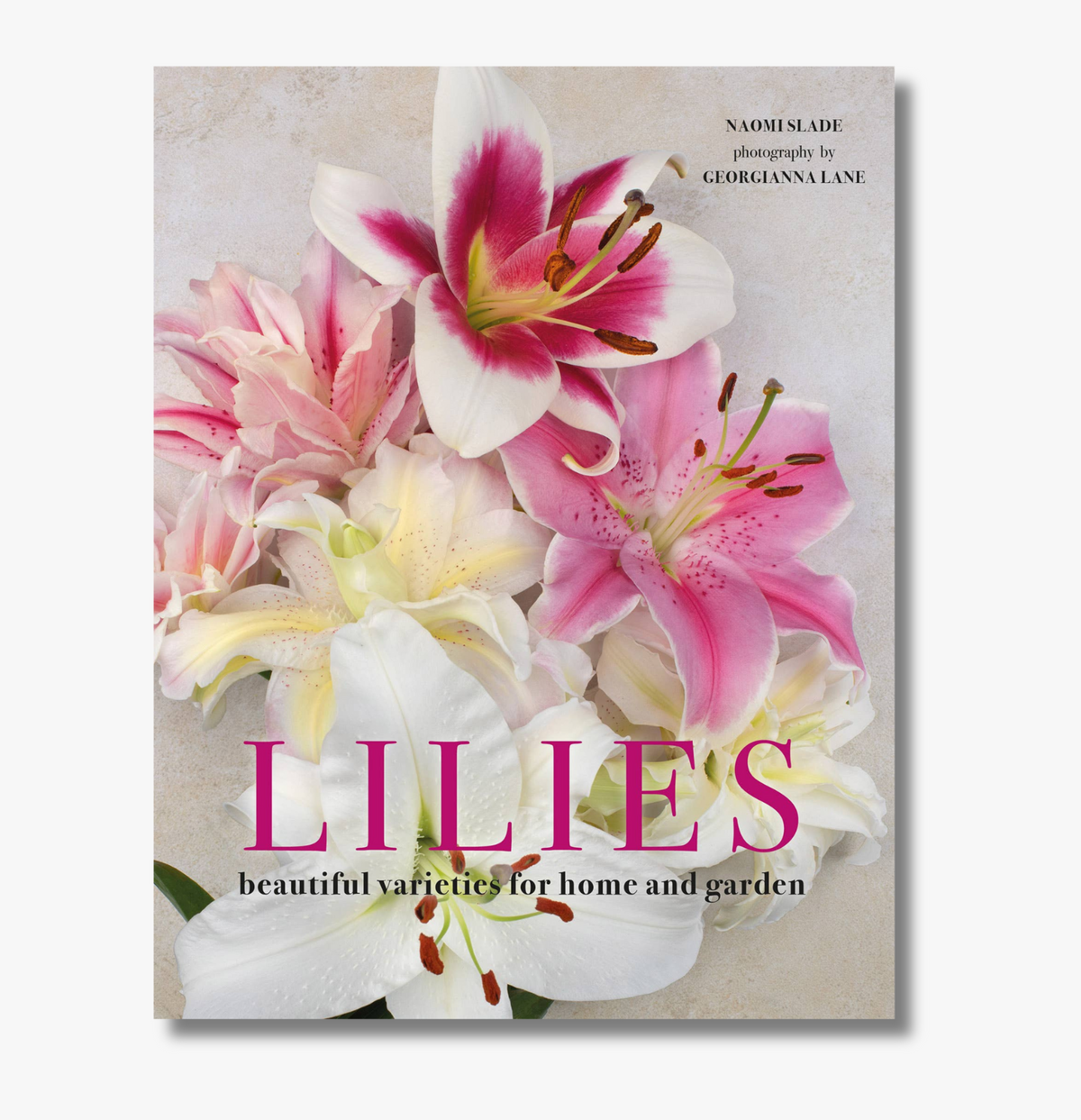 Lilies: Beautiful Varieties for Home & Garden