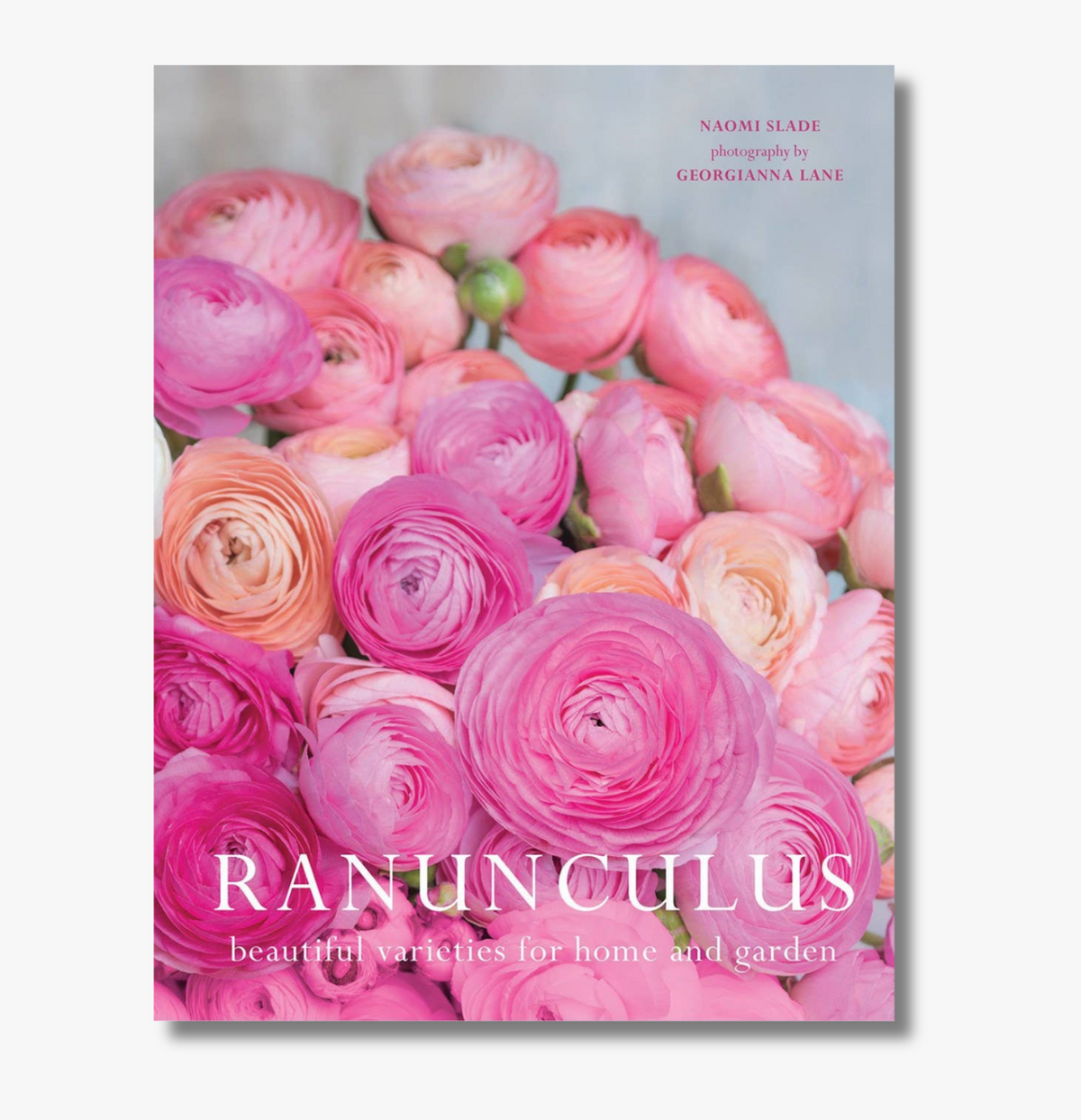 Ranunculus: Beautiful varieties for home and garden