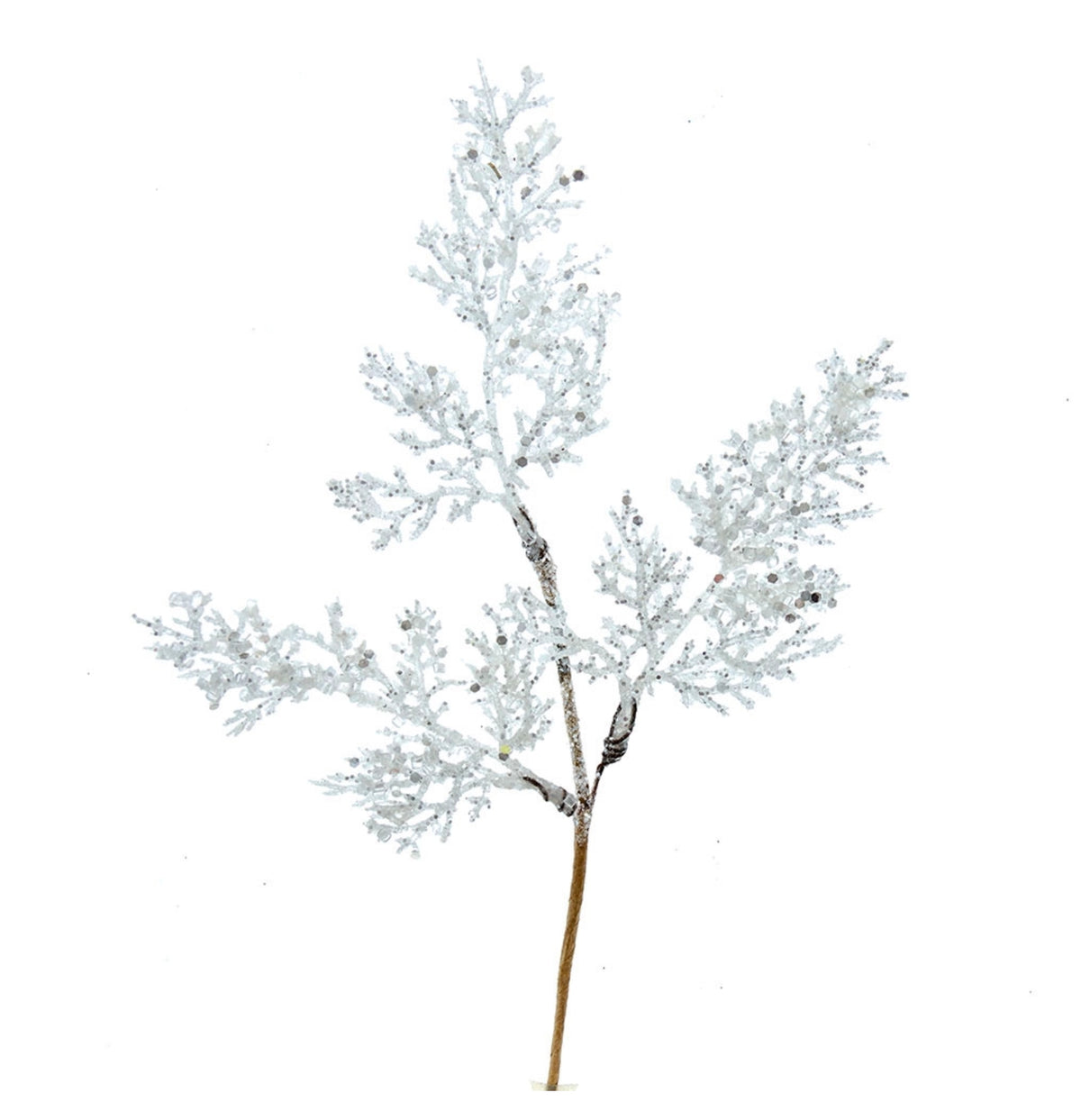 Anaya White Iced Cedar Pick (Case of 36)