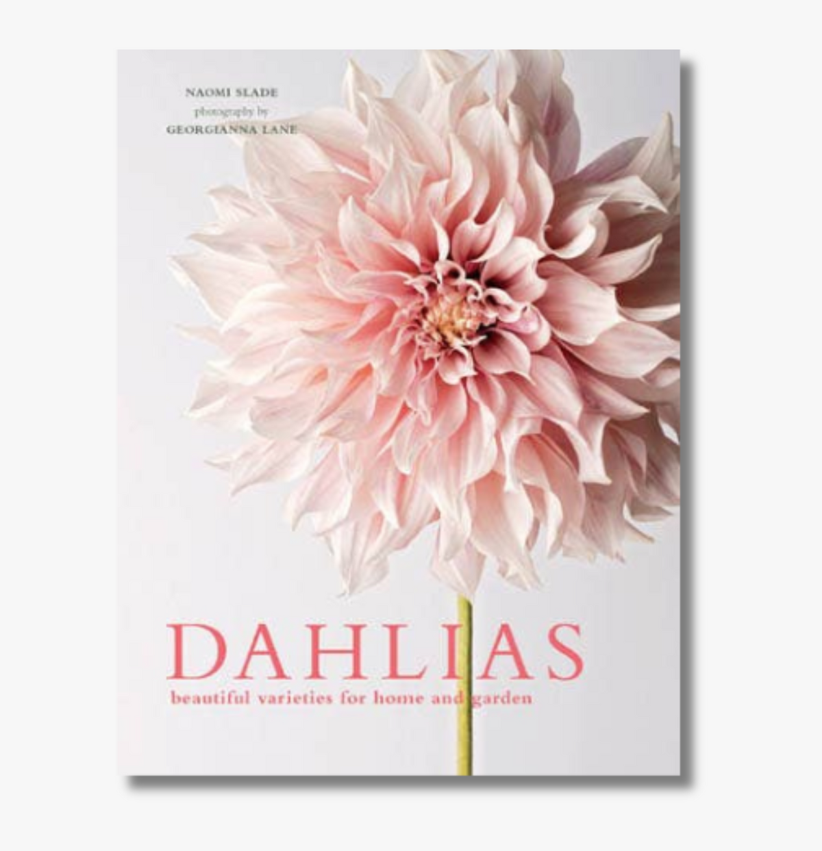 Dahlias: Beautiful Varieties for Home & Garden