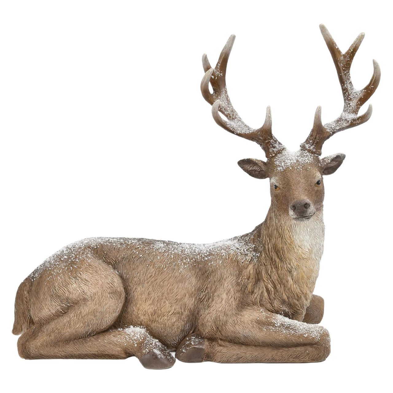 Lying Deer