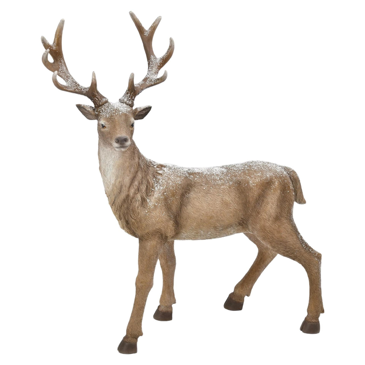 Standing Deer