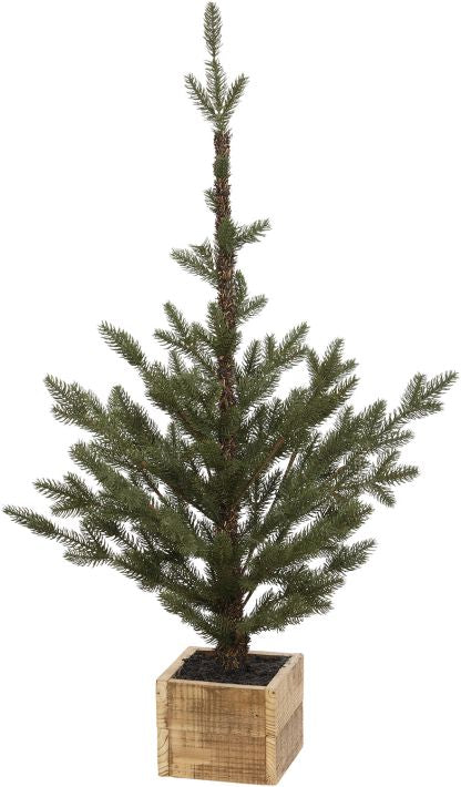 Pinetree In Box, Small - 36 Inches