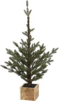 Pinetree In Box, Small - 36 Inches