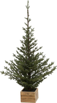 Pinetree in Box, Large - 71 Inches