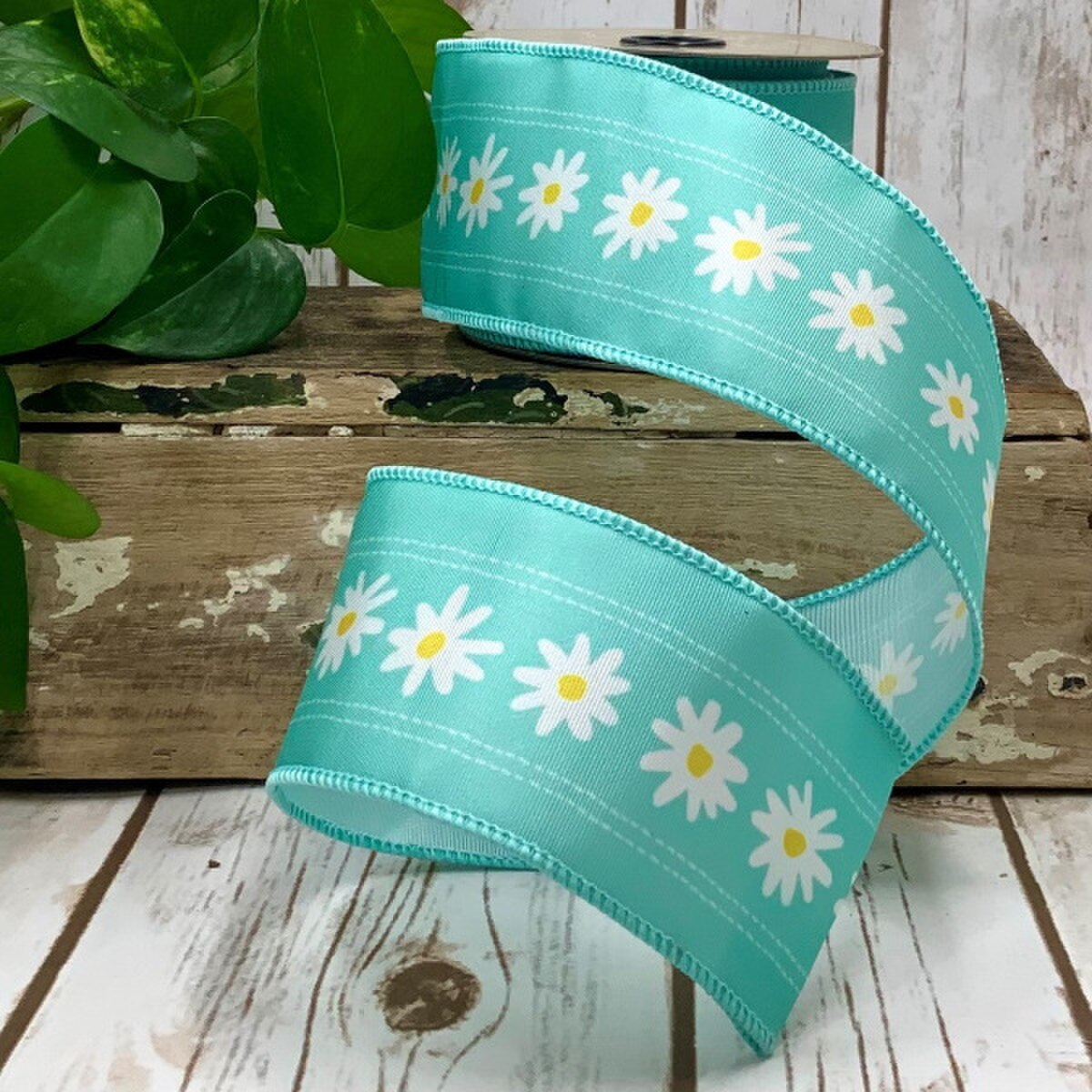 Blue Grosgrain Ribbon with White Daisies, 2.5" x 10 Yds