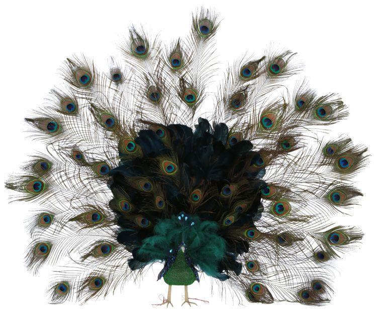 Elegant Peacock - 41 x 7 Inches
