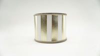 RIBBON HORIZONTAL STRIPES 4X10 PLATINUM,WHITE