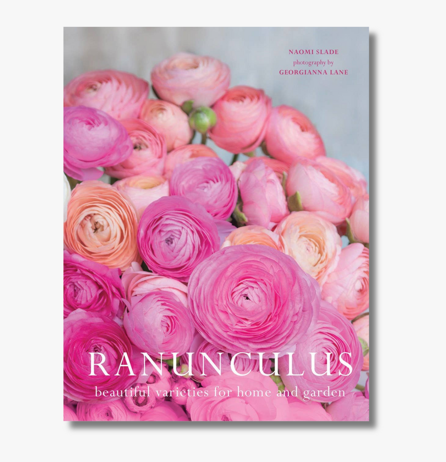 Ranunculus: Beautiful varieties for home and garden
