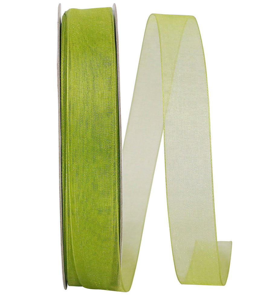Chiffon Mono Sheer Ribbon Green 7/8 Inch for Wreaths