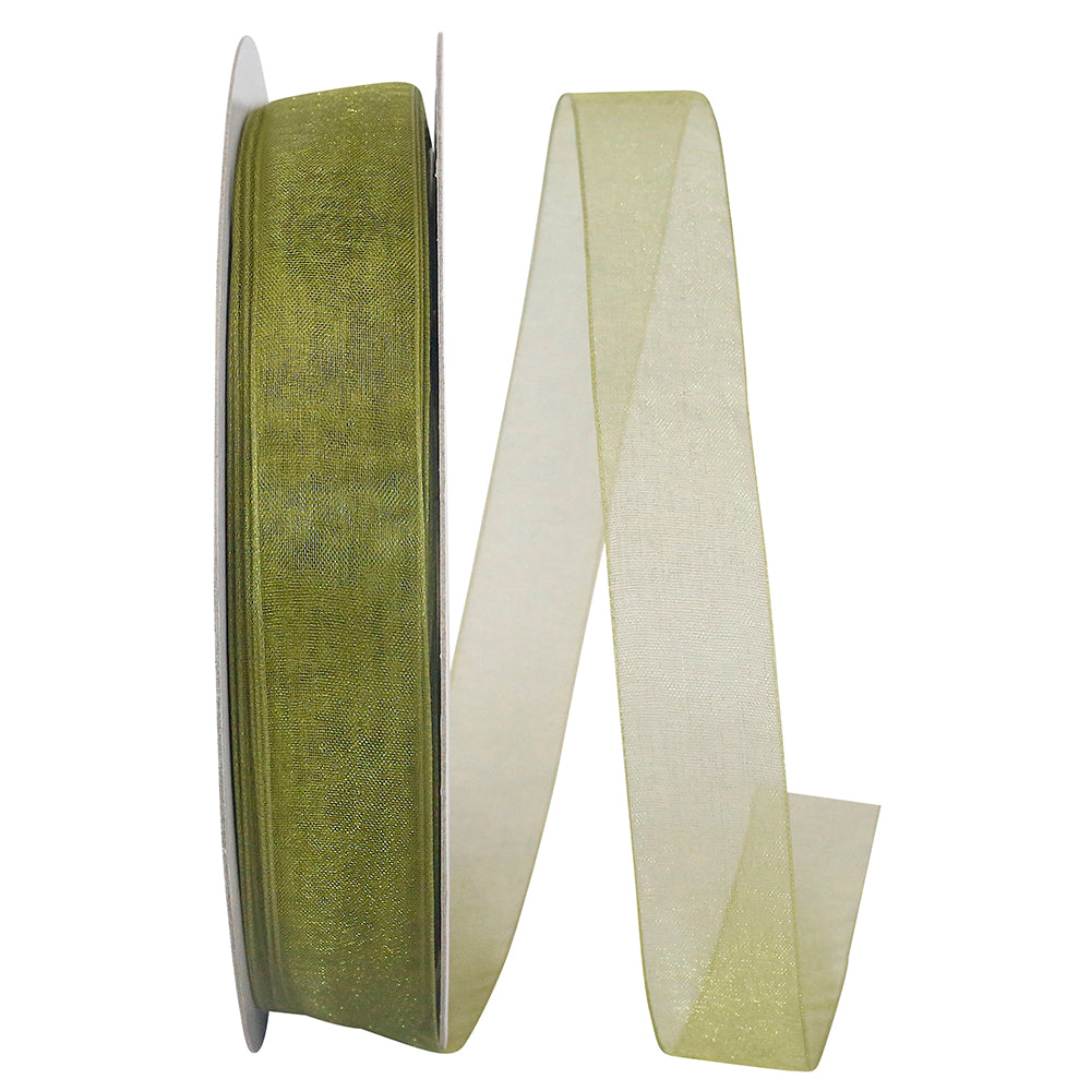 Chiffon Mono Sheer Ribbon Willow 7/8 Inch for Bows