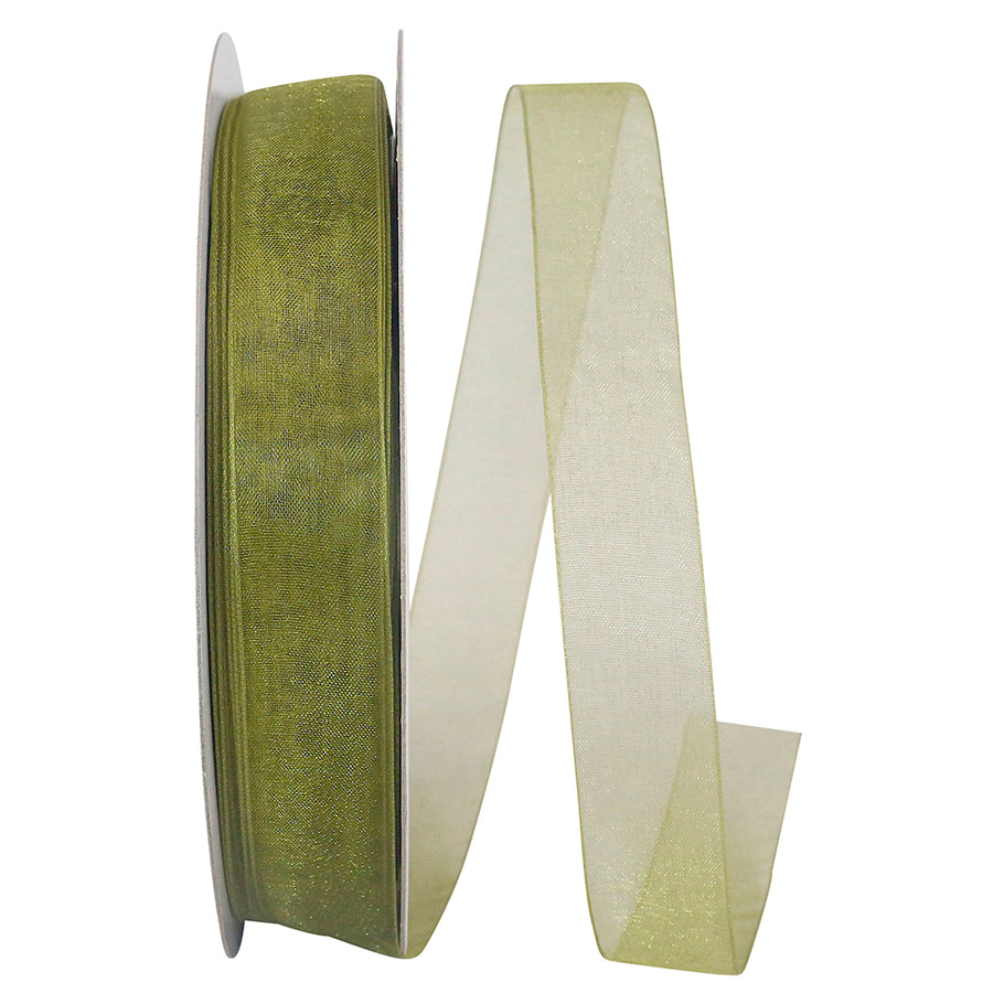 Chiffon Mono Sheer Ribbon Willow 7/8 Inch for Bows
