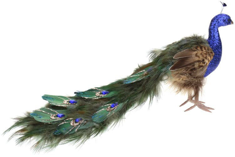Royalty Peacock, Small  - 8 Inches