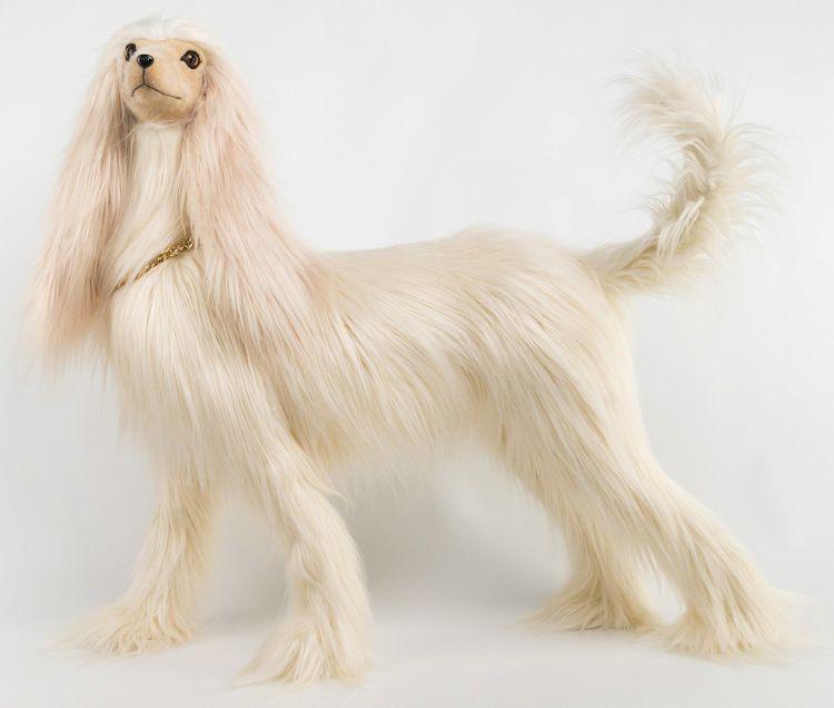 Elegant Posing Whippet - 28 Inches