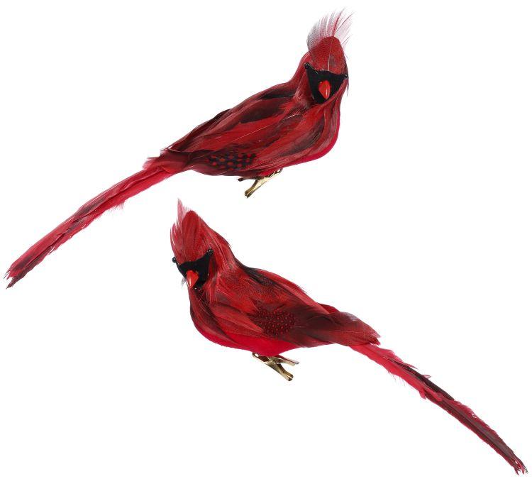 Cardinal Décor, Box of 6 - 11 x 3.5 Inches