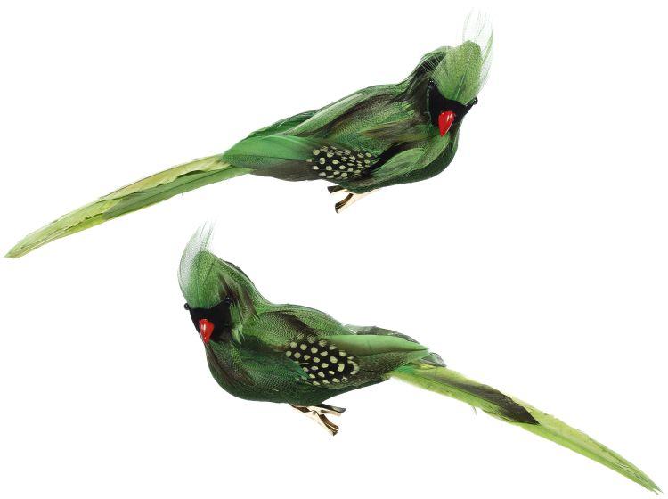 Tropical Bird Décor, Box of 6 - 11 x 3.5 Inches