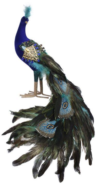 Elegant Peacock - 14 x 4 Inches
