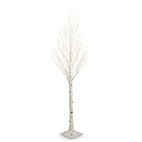 7' Lighted Birch Tree | White