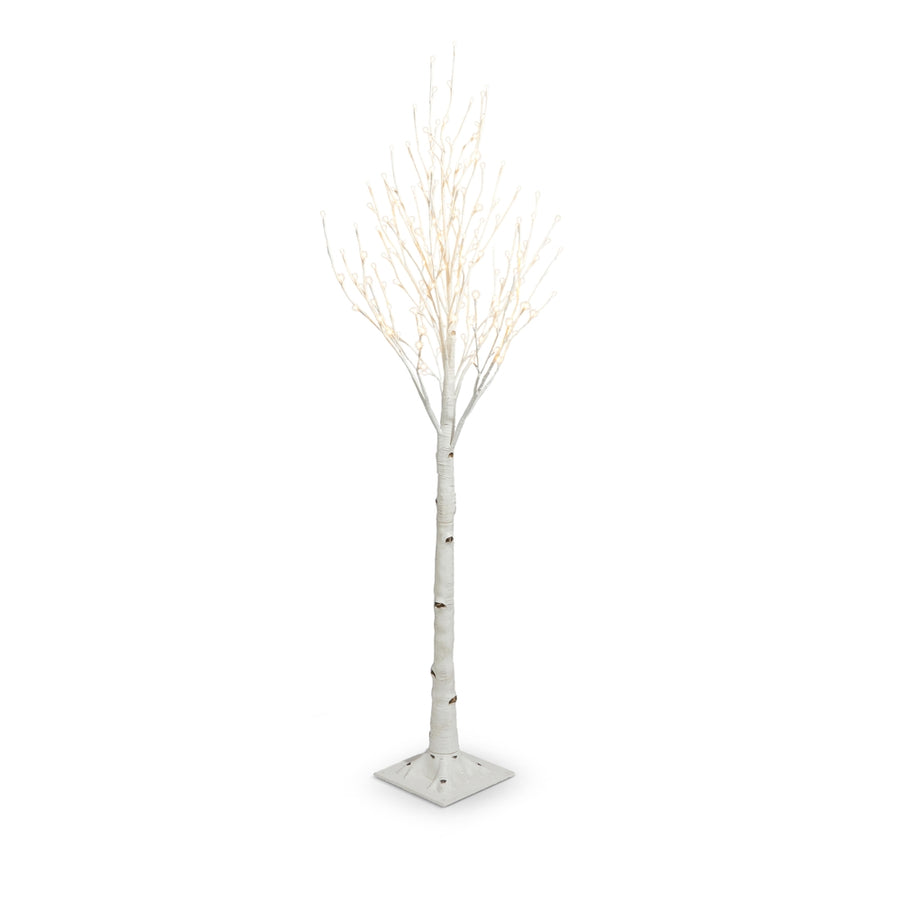 5.5' Lighted Birch Tree in White