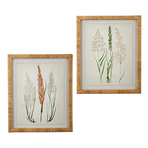 20" Dried Botanical Rattan Framed Print