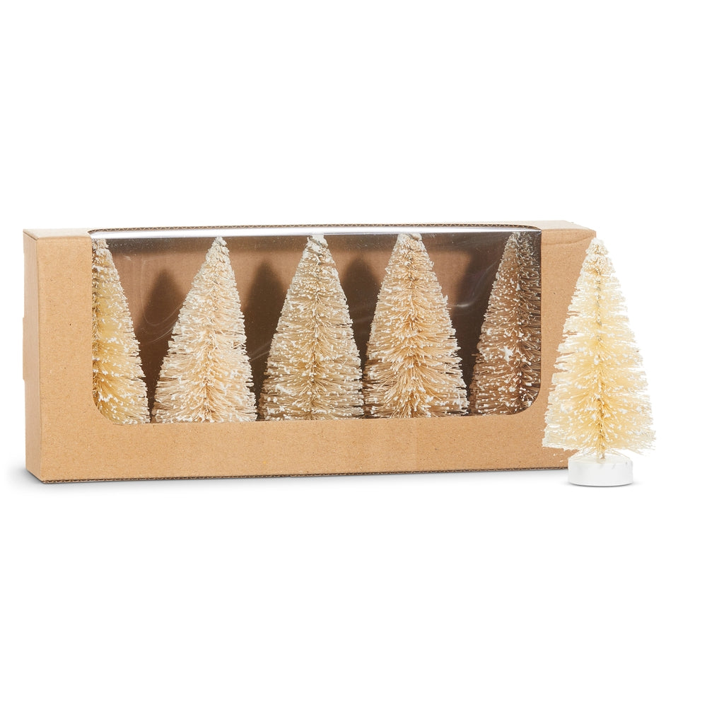 4" Box of Snowy Natural Bottle Brush Trees