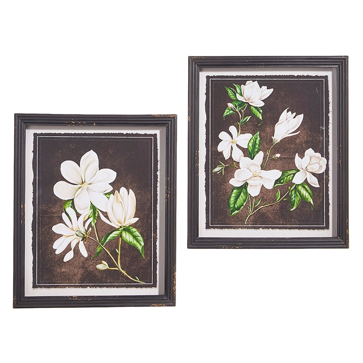 16.25" Magnolia Framed Print