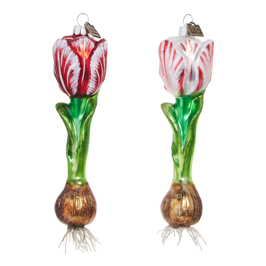 EC 6.5" Tulip Bulb Ornament