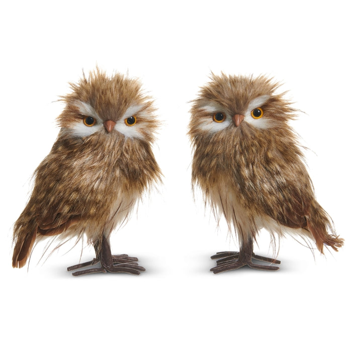 8.5" Owl