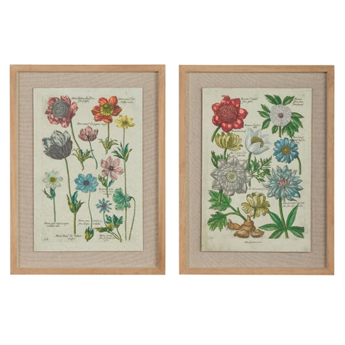 18" Vintage Botanical Framed Wall Art