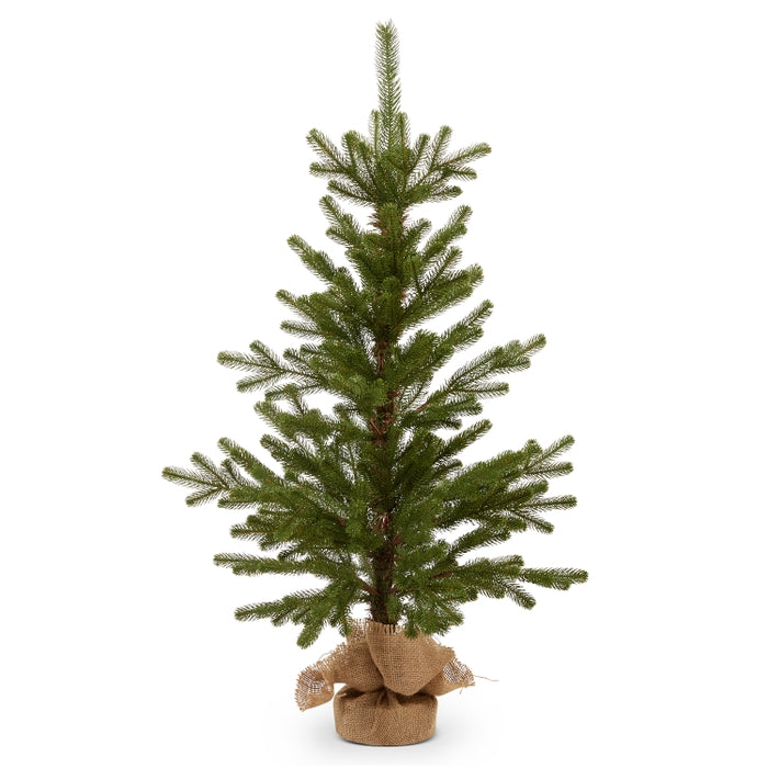 36" Noble Fir Tree in Burlap Bag