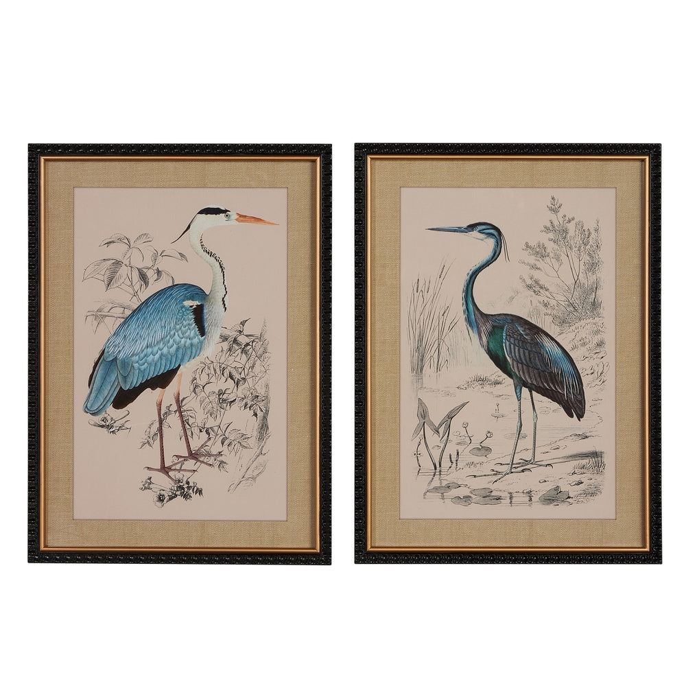 24" Heron Framed Print