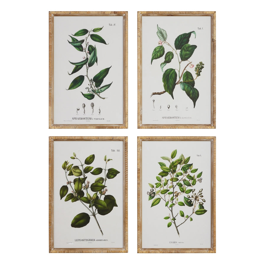 20" Seeded Branch Framed Wall Art