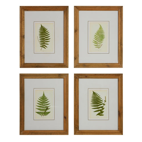 20" Fern Framed Wall Art