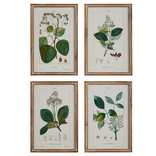 15" Botanical Framed Wall Art