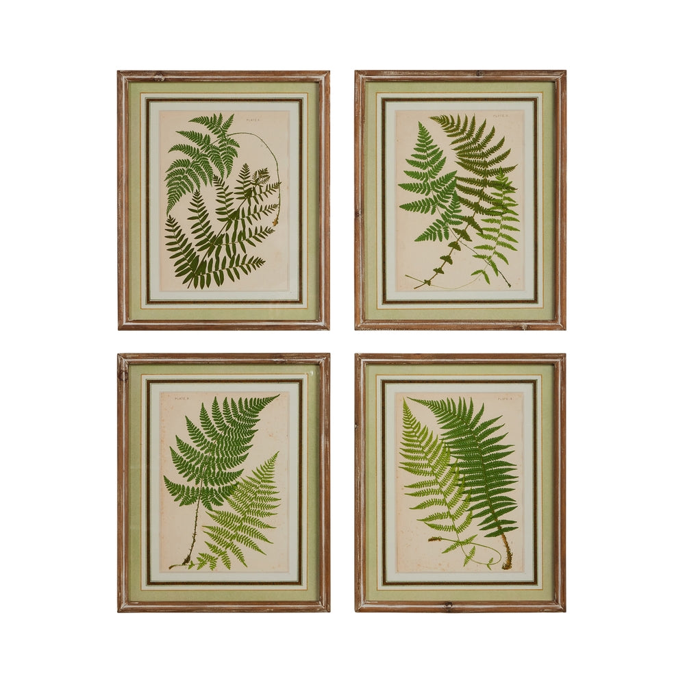 16" Fern Framed Wall Art