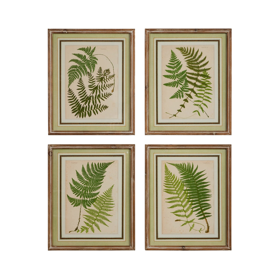 16" Fern Framed Wall Art