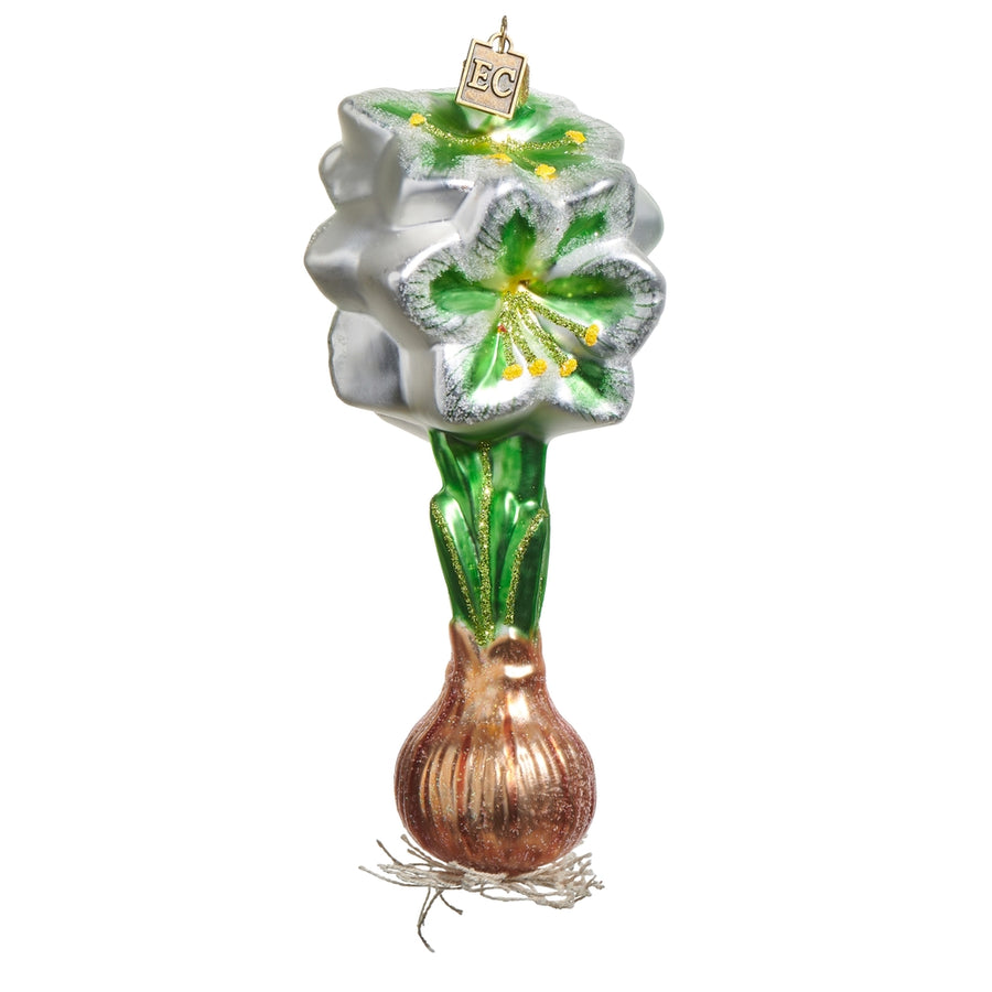 EC 6" White Green Amaryllis Bulb Ornament