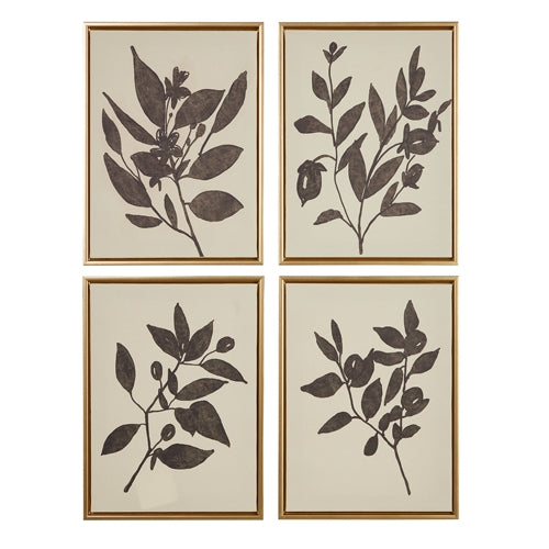 15.75" Olive Branch Framed Print