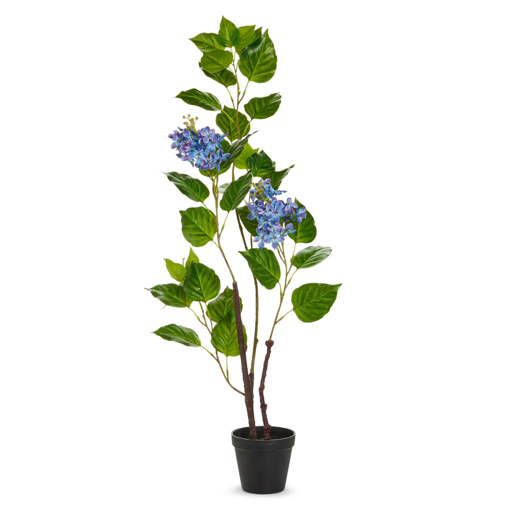 34.5" Potted Purple Hydrangea