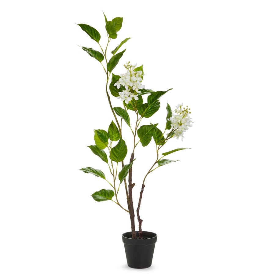 34.5" Potted White Hydrangea