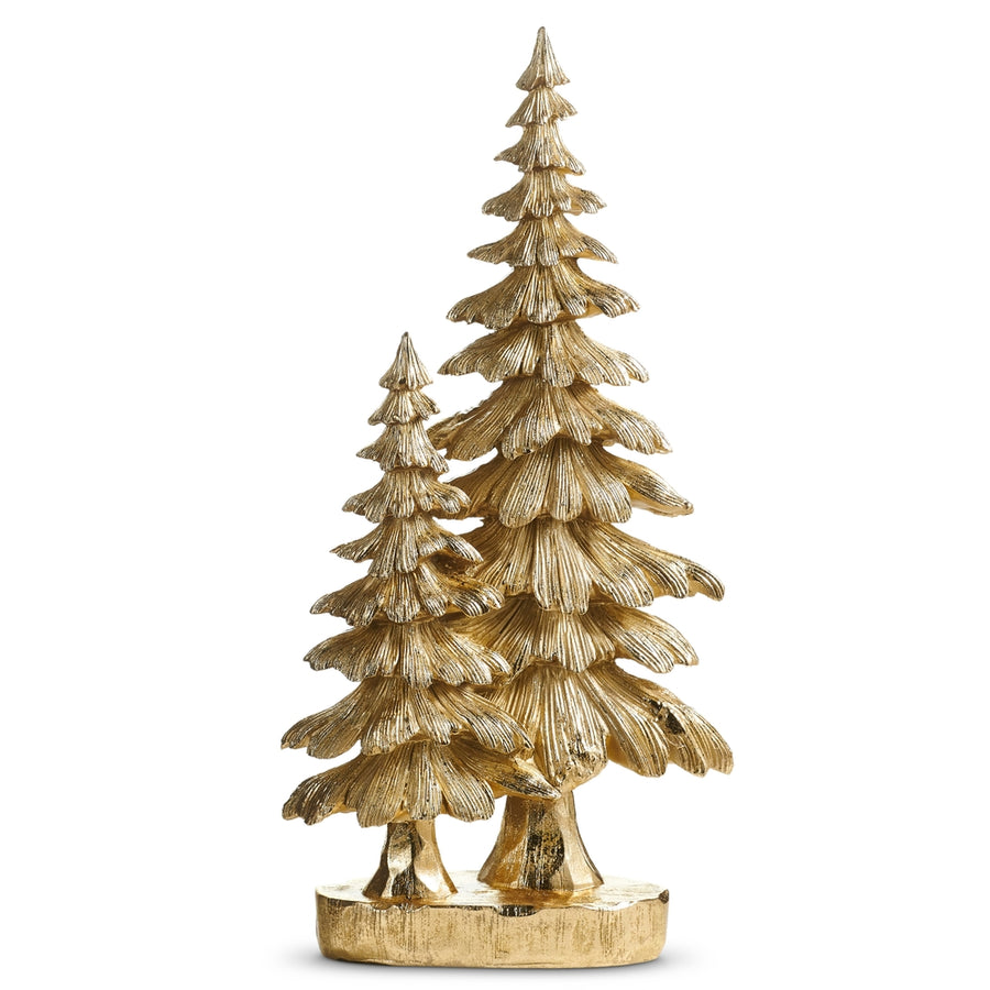 19" Gold Spruce Trees