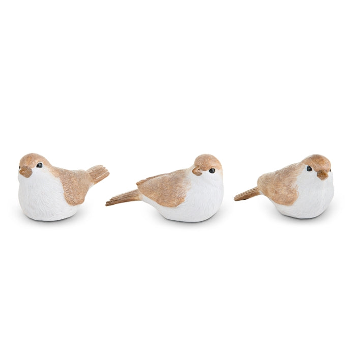 2.5" Sparrow