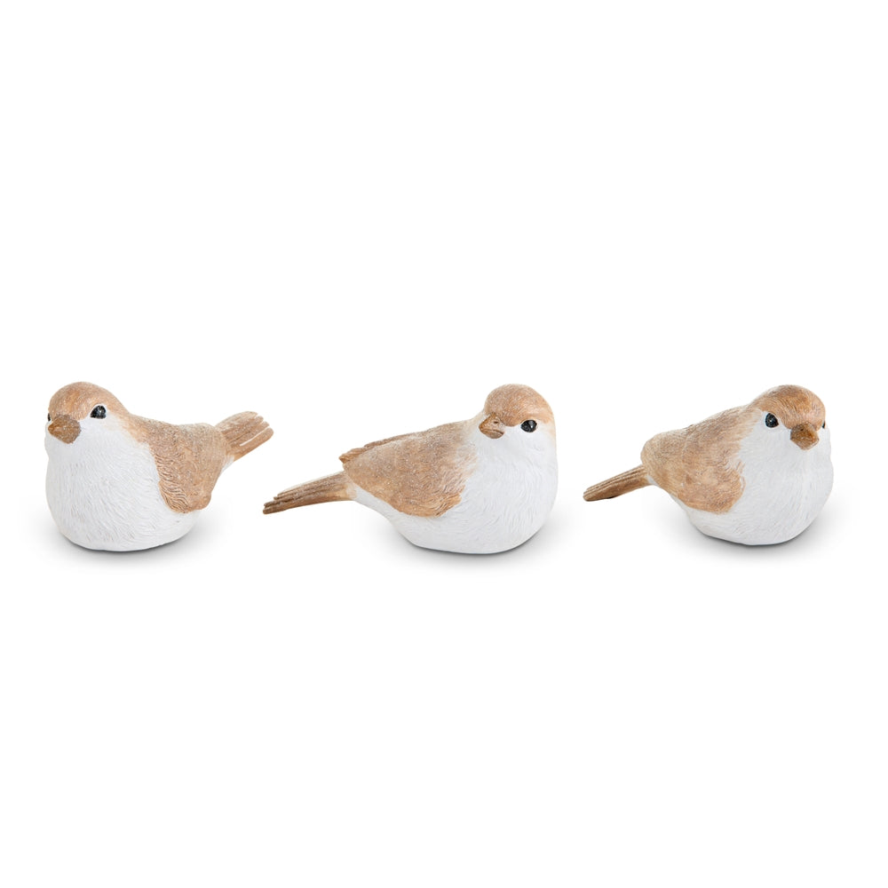 2.5" Sparrow
