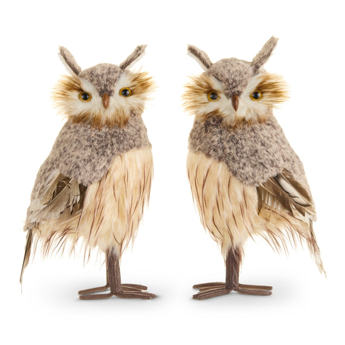 15" Brown Owl