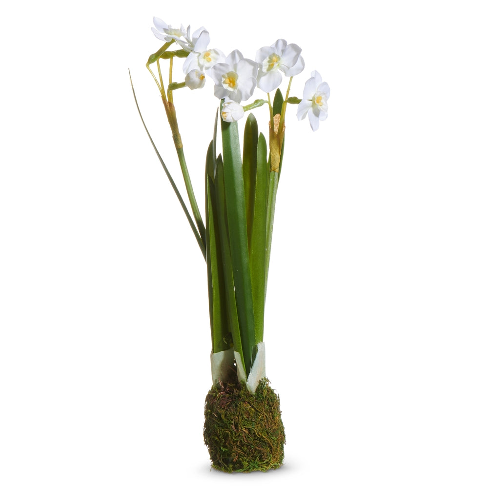 10.5" Narcissus Plant Drop In