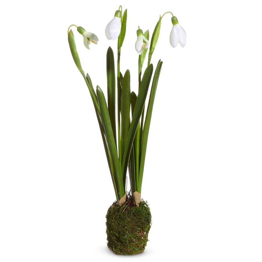 12" Snowdrop Plant Drop In