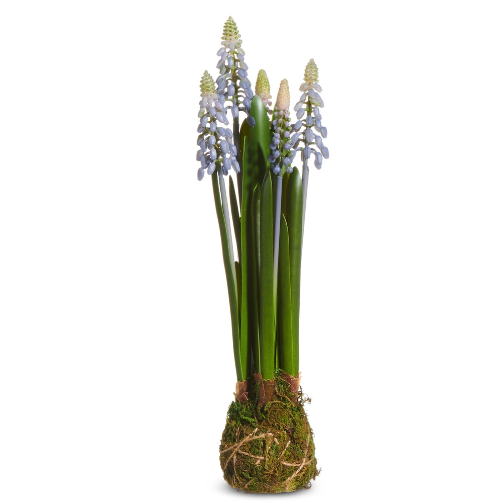 10.5" Muscari Drop In