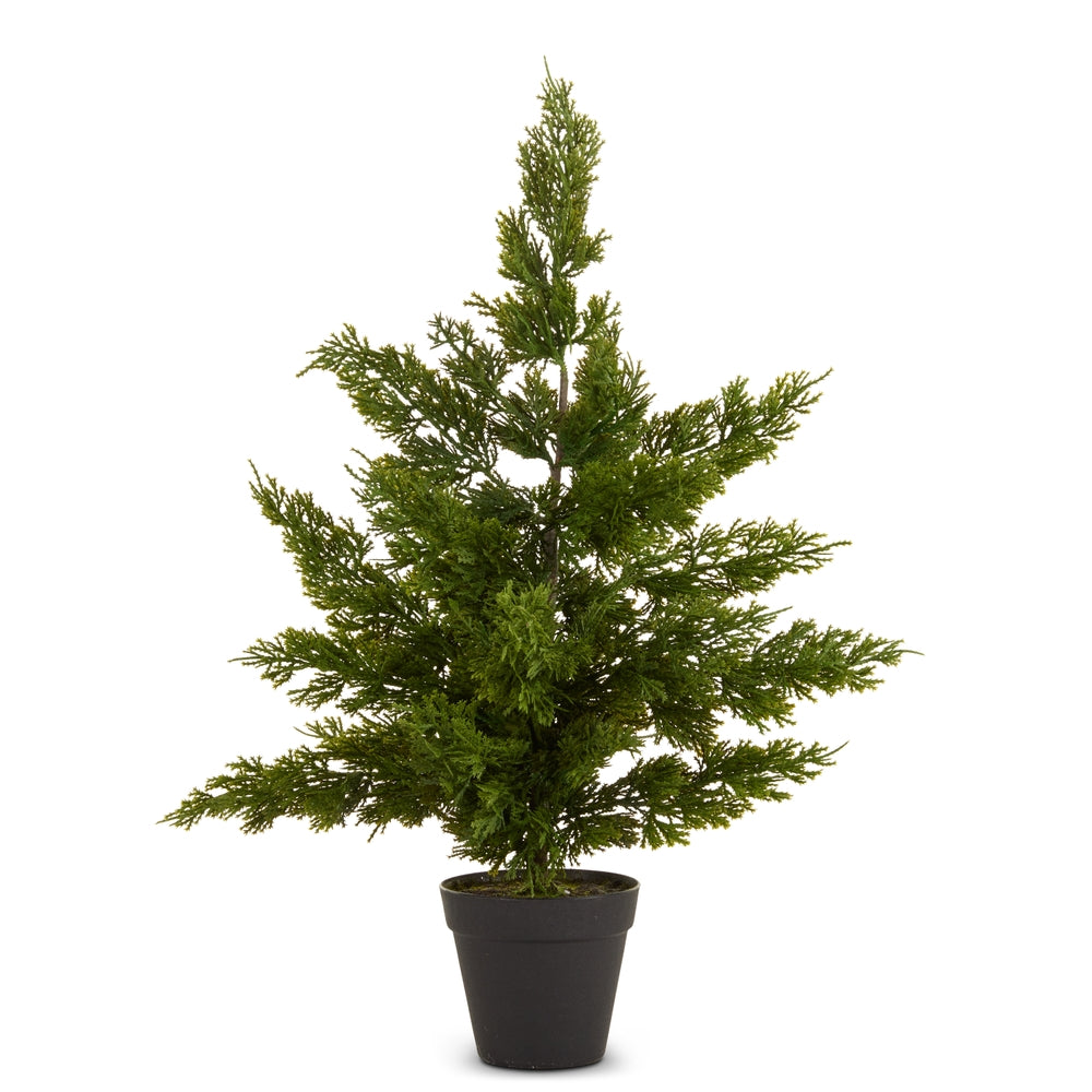 24" Potted Cedar Tree