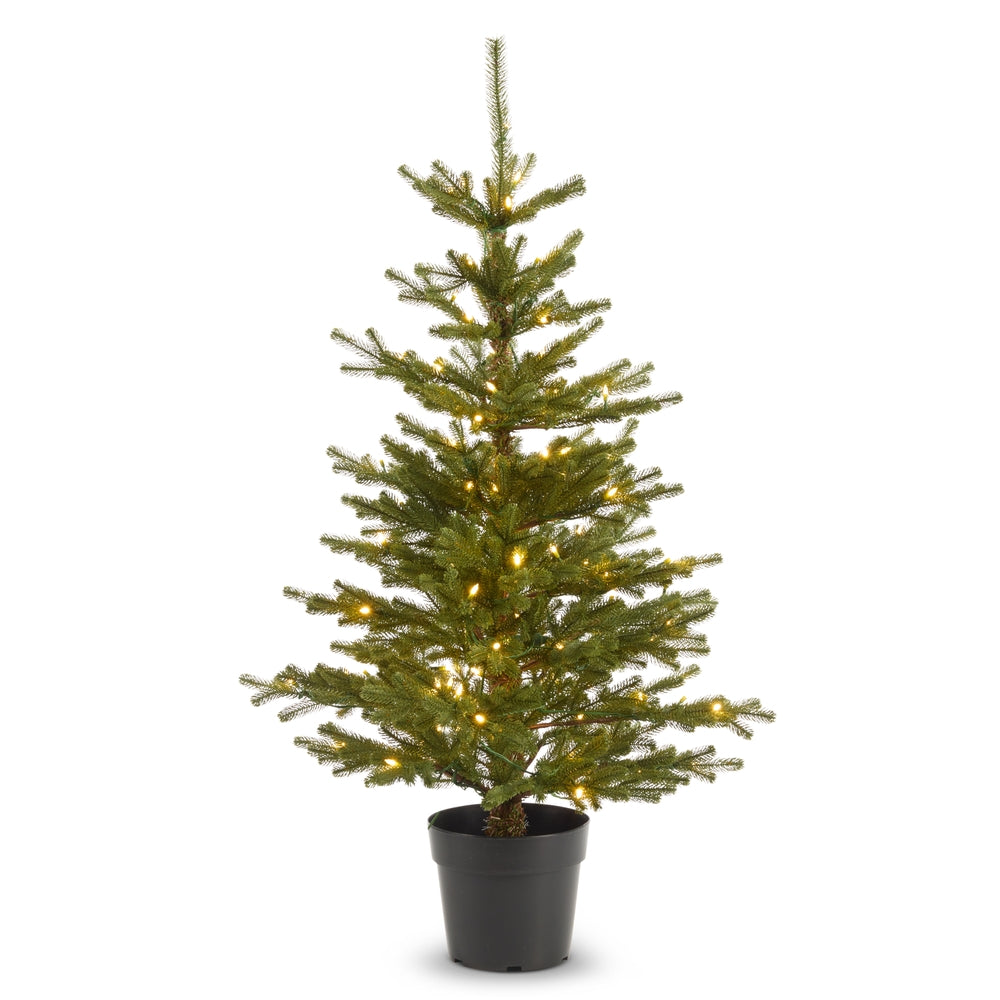 48" Lighted Potted Fir Tree