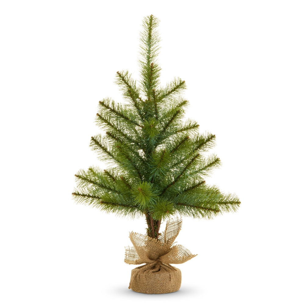 24.5" Potted Long Needle Pine Tree